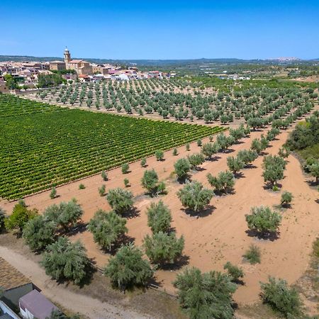 Hotel & Resort Vilar Rural D'Arnes By Serhs Hotels Sant Carlos de la Ràpita Екстериор снимка