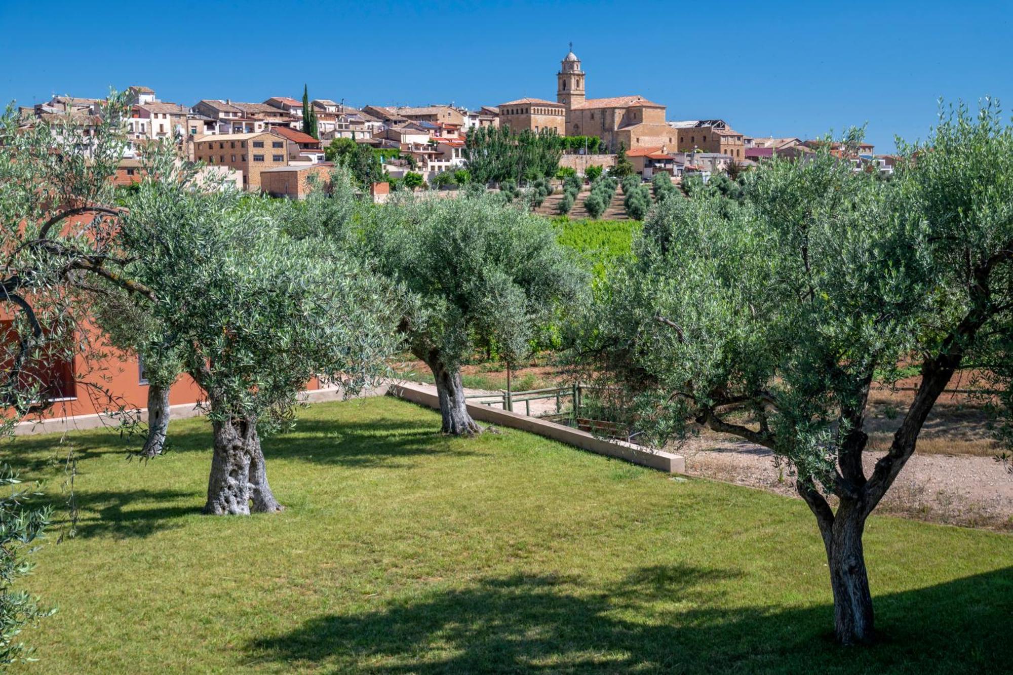 Hotel & Resort Vilar Rural D'Arnes By Serhs Hotels Sant Carlos de la Ràpita Екстериор снимка