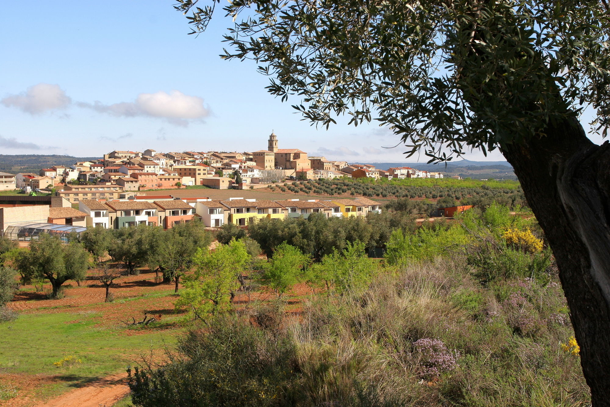 Hotel & Resort Vilar Rural D'Arnes By Serhs Hotels Sant Carlos de la Ràpita Екстериор снимка